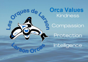 NO TEXT Larson Orca Values Image.png